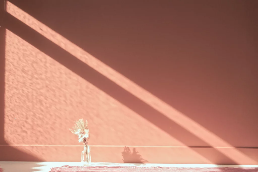 Vase de fleurs séchées devant un mur rose avec jeux de lumière en Normandie.