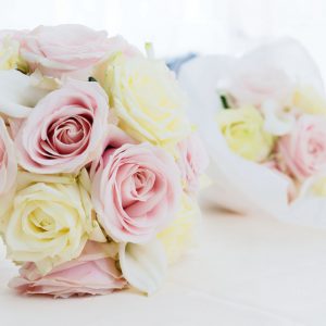 La photo se développe chez SNK Studio