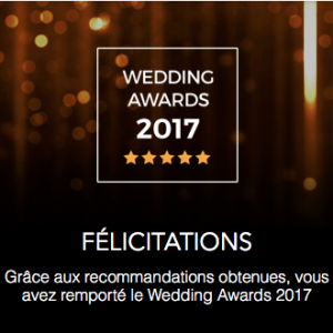 YESS!! Wedding Award 2017 pour SNK Studio!