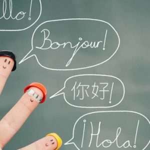 snkstudio.fr multilingue